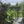 Load and play video in Gallery viewer, gift-for-gardeners