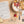 Load image into Gallery viewer, Home Dairy Vol. 1 - How to Make Butter & Yogurt