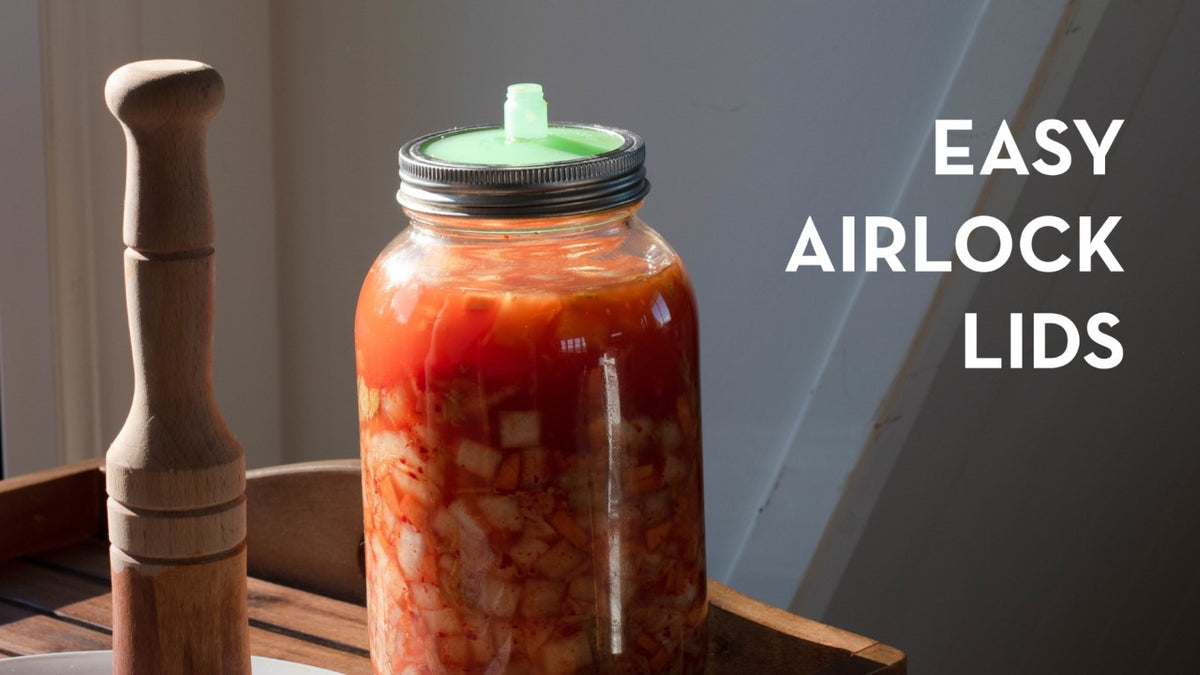 Silicone Fermentation Airlock Lids for Mason Jars + Rust Proof Bands