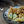 Load image into Gallery viewer, how to make ricotta