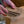 Load image into Gallery viewer, seed saving envelopes for party favours