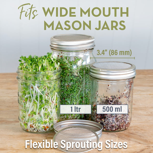 seed sprouting jar
