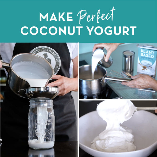 coconut yogurt starter