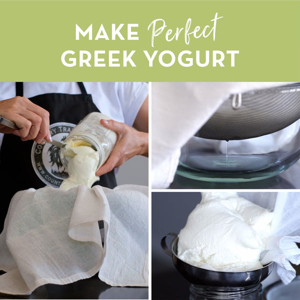 best greek yogurt