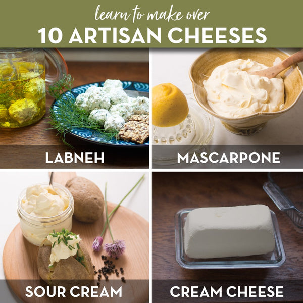 learn to make artisan cheese