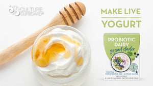 probiotic yoghurt starter culture
