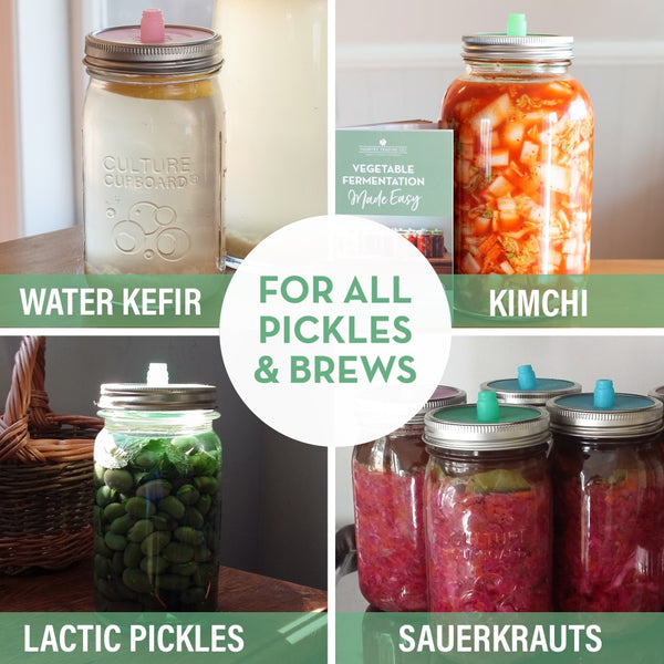 lactic pickle fermenting recipes