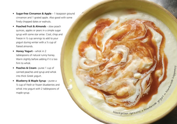 yoghurt recipe book
