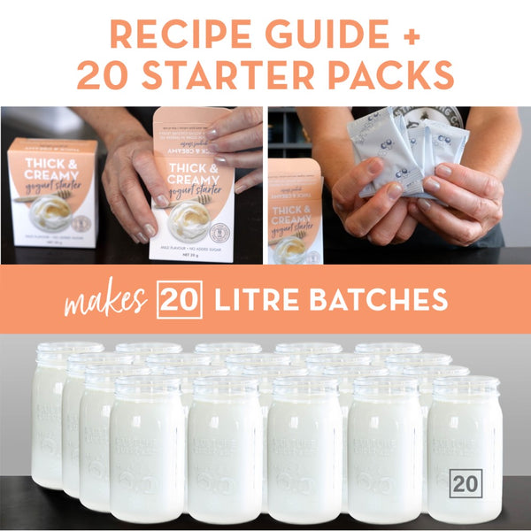 recipe guide yogurt starter bulk